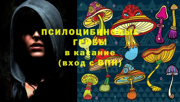дмт Балахна