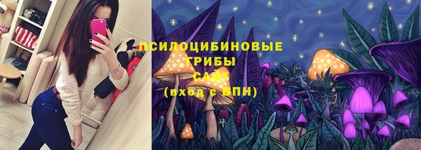 дмт Балахна