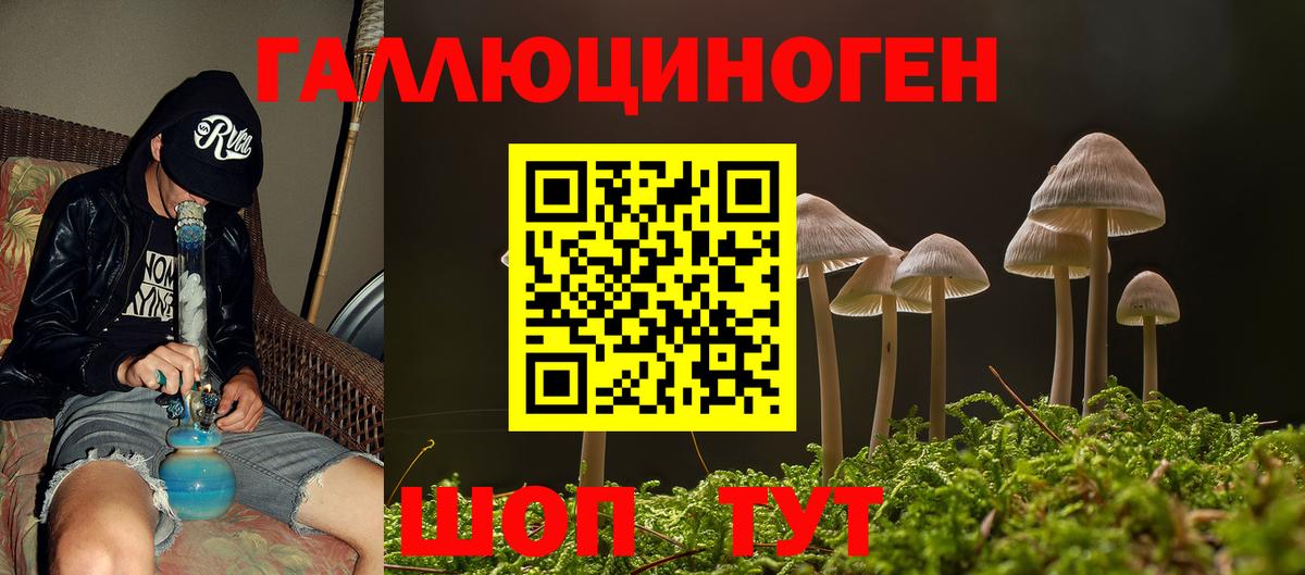 Псилоцибиновые грибы GOLDEN TEACHER Верхняя Салда