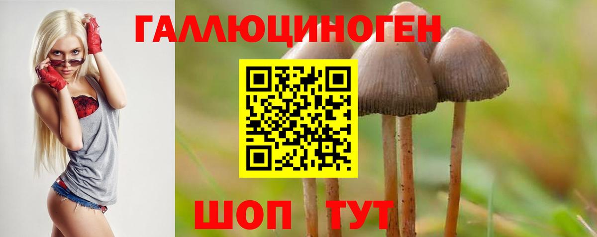 Псилоцибиновые грибы мухоморы  Вход с VPN  Верхняя Салда  Галлюциногенные грибы GOLDEN TEACHER 